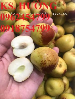 Bán giống cây hồng táo, cây táo tàu trung quốc, cây táo tầu làm thuốc, giao cây toàn quốc, lh 0962454799//0918754799
