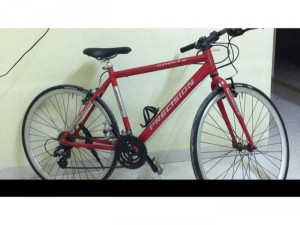 xe nhật nhập khẩu bản sport