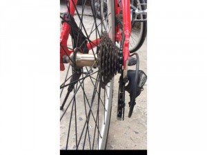 xe nhật nhập khẩu bản sport