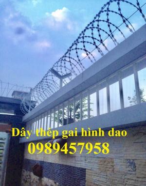 Dây kẽm lam, dây thép gai vòng tròn rào vườn, dây thép gai bảo vệ nhà giá rẻ mới 100%