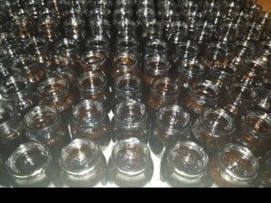 Cao Cà Gai leo giải độc gan,men gan cao, suy gan, xơ gan, gan nhiễm mỡ ...