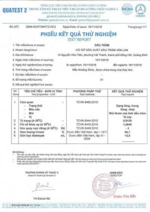 Tinh Dầu Tràm Gió - 50Ml