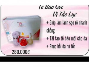 Tế Bào Góc Vi Tảo Lục Nhật Bản đã có mặt tại Việt Nam