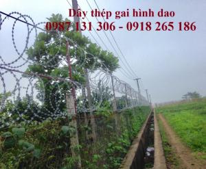 Dây thép gai vòng tròn, dây gai hình luỡi lam, dây gai tôn giá rẻ nhất Việt Nam
