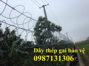 Dây thép gai vòng tròn, dây gai hình luỡi lam, dây gai tôn giá rẻ nhất Việt Nam