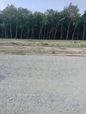 Cần mua đất nền Biên Hòa dt từ 60m2 trở lên giá cao, thanh toán nhanh trong ngày.