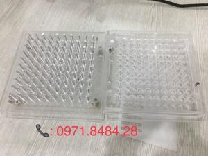 khuôn thuốc con nhộng 100 viên