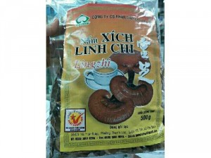 Nấm xích linh chi