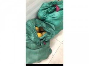 Bưởi Diễn Đất Diễn