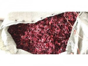 Sỉ atiso đỏ khô (hibiscus tea) siêu rẻ