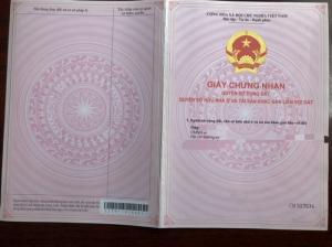 Đất Nền Nam Vân Phong– Cơ Hội Đầu Tư Đón Đầu Đầy Tiềm Năng