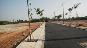 Đất thổ cư cạnh chung cư Kim Sơn đường Trục, nhận sổ sau 15 ngày