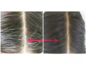 Dầu Gội Đen Tóc Nhân Sâm Beauty Star Hàn Quốc