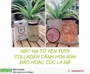 Mặt nạ yến tươi collagen