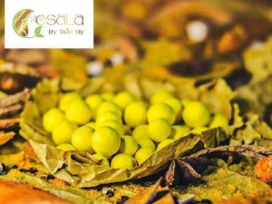 Viên nghệ mật ong osala