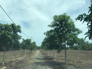 Bán đất đường Bàu Cạn gần sân bay Long Thành Đồng Nai chỉ 2,2 triệu/m2