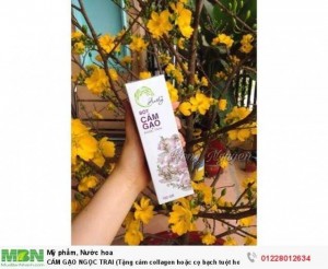Cám Gạo Ngọc Trai