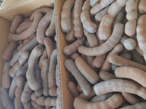 Me Thái loại vỏ mỏng