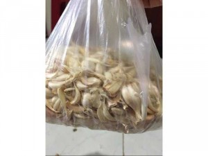 tỏi lý sơn(rời)