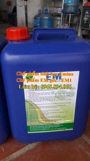 Chế phẩm sinh học Emina sử dụng trong chăn nuôi - Đại học Nông nghiệp 1 Hà Nội
