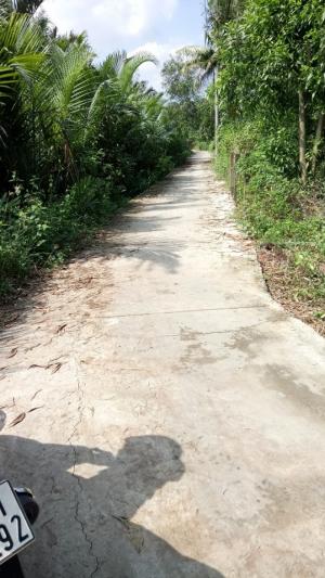 Giới thiệu cho nhà đầu tư hơn 1 hecta đất ở biệt thự ở Nhà Bè