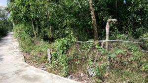 Giới thiệu cho nhà đầu tư hơn 1 hecta đất ở biệt thự ở Nhà Bè
