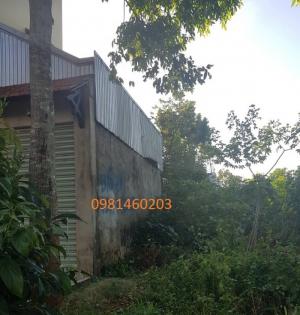 Lô Phạm Văn Bạch (Thành Nhất) 6x43.5m (1.3 Tỷ)Thổ cư 100%