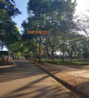 Lô Phạm Văn Bạch (Thành Nhất) 6x43.5m (1.3 Tỷ)Thổ cư 100%