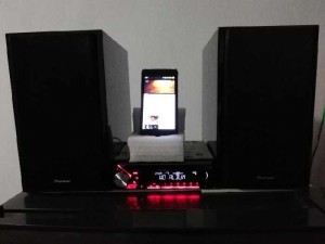 Loa Pioneer chính hãng mới 100%