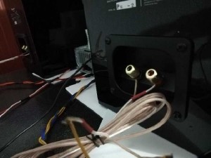 Loa Pioneer chính hãng mới 100%