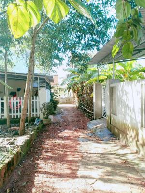 Đất phân lô Hoài Thanh gần Sake,Huế