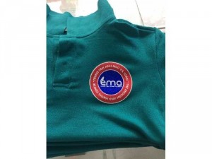 Áo thun đồng phục màu lông công giá rẽ
