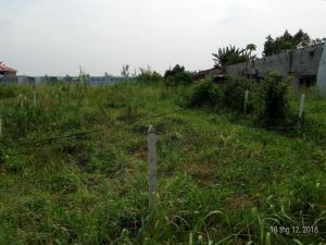 Đất Nền 9m X 51m (Thổ Cư 100%)Đường Nhựa Ấp Cây Trắc Xã Phú Hòa Đông ,Củ Chi