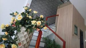 Ra mắt dãy nhà phố 2 tầng phân khu SAFARI street TTTP Huế