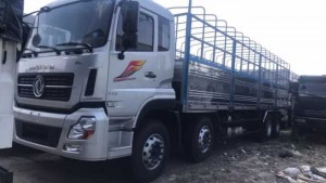Xe tải Dongfeng 4 Chân 17.9 tấn nhập khẩu với hệ thống treo bằng nhíp lá bán nguyệt kết hợp thanh cân bằng giúp xe vận hành êm ái trên những địa hình phức tạp nhất. Hệ thống lái trợ lực thủy lực người lái vận hành nhẹ nhàng, ổn định. Hệ thống phanh với phanh chính kiểu tang trống dẫn động khí nén hai dòng, phanh tay lốc kê đảm bảo an toàn trên mọi các dạng địa hình