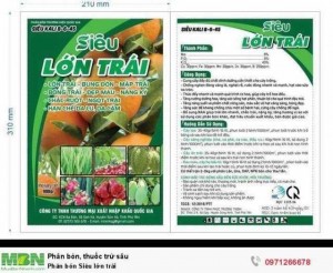 Phân bón Siêu lớn trái