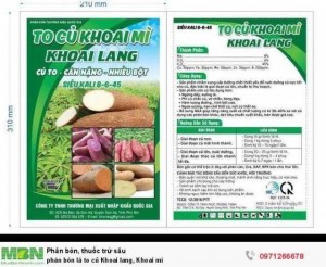 Phân bón lá to củ Khoai lang, Khoai mì
