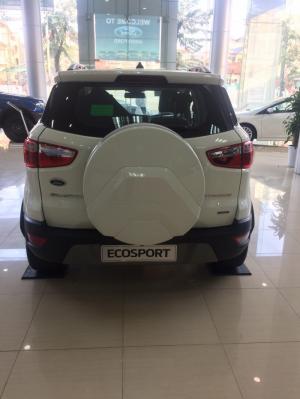 Ecosprot Trend