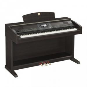 Yamaha CVP-503