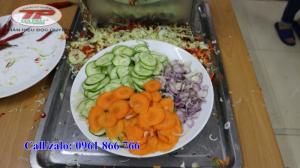 Máy thái hành tỏi đa năng, thái lát mỏng