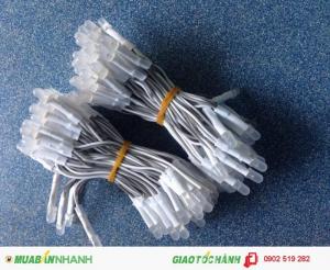 Led ruồi 5mm Senyang