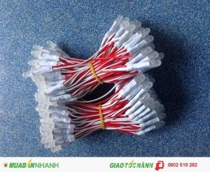 Led ruồi 5mm Senyang