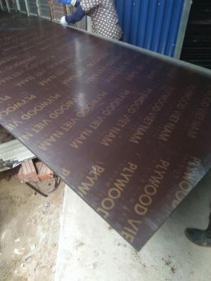Ván cốp pha phủ phim