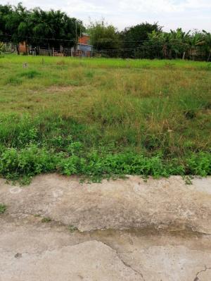 Bán 1 nền 90m2 thổ cư Ấp Hòa Thuận 2, xã Trường Bình, hẻm xe hơi ra vào thoải mái.
