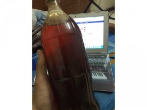 Mật Ong Rừng Loại 1