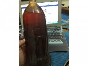 Mật Ong Rừng Loại 1