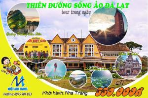 Tour Đà Lạt Giá Rẻ