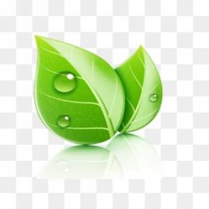 Bột Lá Sâm, Bột Sương Sáo, Bột Rau Má