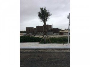 Cần bán căn hộ gần biển