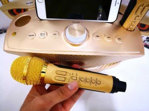 Đi kèm với loa là cặp micro cao cấp có thể chỉnh các âm thanh hài hước như cổ vũ, la ó, tiếng cười, đám đông và micro còn sử dụng pin sạc cực kỳ tiện lợi.
